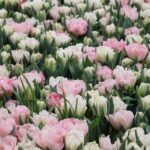 vorteile nicht rauchen